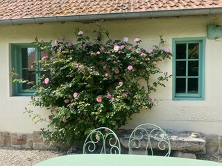 Casa per le vacanze Hautot-sur-Mer  35