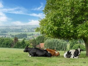 Belle maison de vacances au Mont de l"Enclus avec jardin clos - Markedal - image1