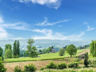 Casa per le vacanze Maarkedal Ambiente 36