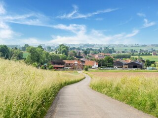 Vakantiehuis Maarkedal Omgeving 37