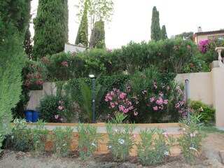 Villa Vallauris  40