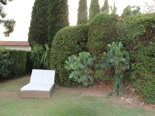Villa Vallauris Outdoor Recording 17