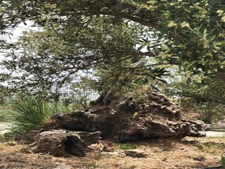 Casa per le vacanze Asi Gonia Ambiente 20