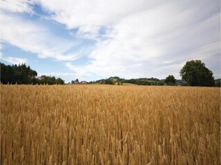 Vakantiehuis Città di Castello Omgeving 31