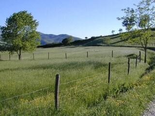 Casa per le vacanze Città di Castello Ambiente 31
