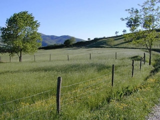 Casa de vacaciones Città di Castello Entorno 26