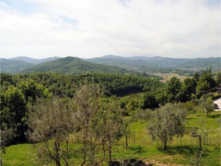 Maison de vacances Città di Castello Environnement 24