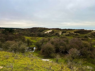 Dünen Oostkapelle