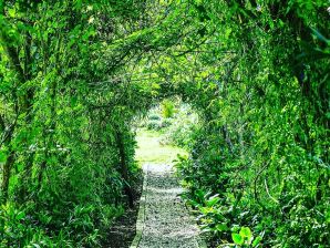 Vakantieappartement Camera+Bagno+Colazione