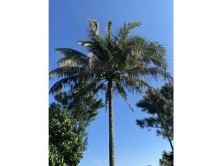 Appartamento per vacanze Jarabacoa Registrazione all'aperto 2