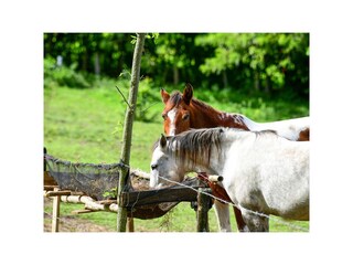 Appartamento per vacanze Jarabacoa Registrazione all'aperto 3