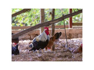 Appartamento per vacanze Jarabacoa Registrazione all'aperto 4