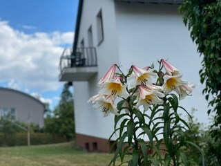 Vakantieappartement Weinsheim (Eifel) Buitenaudio-opname 6