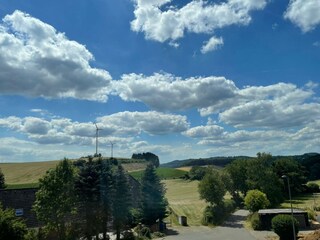 Appartamento per vacanze Weinsheim (Eifel) Caratteristiche 18