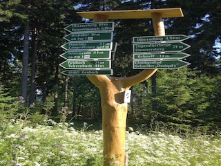 Ferienhaus Masserberg Umgebung 17