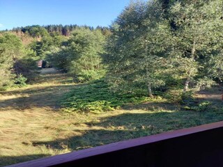 Vakantiehuis Masserberg Omgeving 28