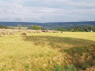 Maison de vacances Masserberg Environnement 29
