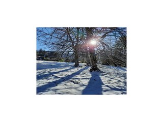 Casa de vacaciones Raon-l'Étape Entorno 29