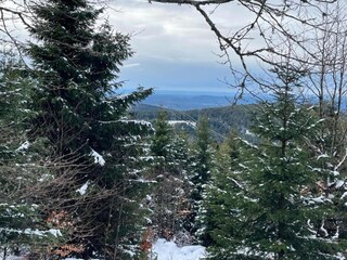 Vakantiehuis Raon-l'Étape Omgeving 36