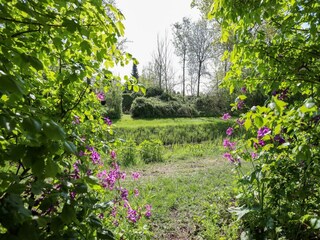 Vakantiehuis Kamperland Omgeving 25