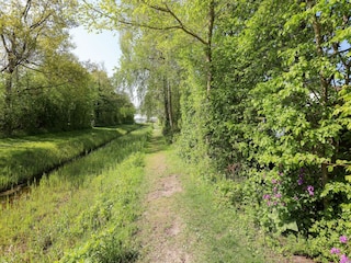 Ferienhaus Kamperland Umgebung 25