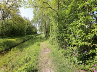 Vakantiehuis Kamperland Omgeving 27