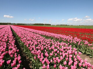 Holiday house Lemmer Environment 30