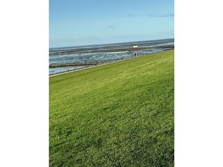 Deich an der Nordsee
