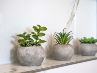 Villa Grubine Ausstattung 21