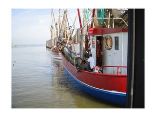 Vakantieappartement Burhave Omgeving 19