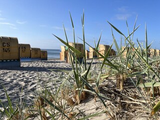 Dahme - ein wunderschöner Ort im Sommer wie im Winter