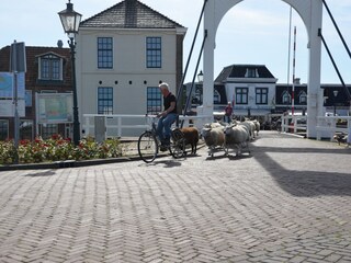 Appartamento per vacanze Stavoren Ambiente 19