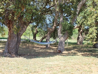 Villa Pula Außenaufnahme 4