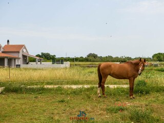 Vakantiehuis Fažana Omgeving 44