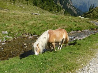 Appartamento per vacanze Antholz Ambiente 17