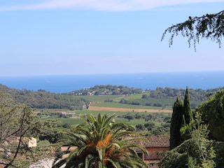 Der Blick von der Terrasse auf die Weinberge