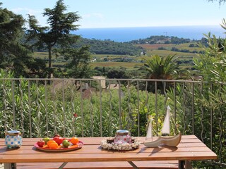 Vakantiehuis La Croix-Valmer Buitenaudio-opname 1