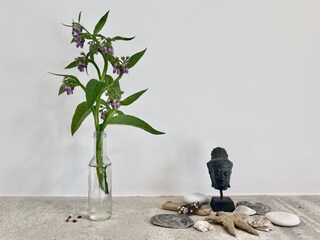 Vakantieappartement Bergen (Holland) Kenmerken 19