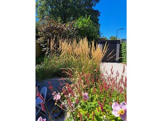 Appartamento per vacanze Bergen (Holland) Registrazione all'aperto 6