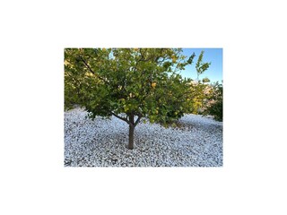 Villa Motril Buitenaudio-opname 7