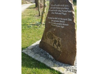 Wandern in der Natur