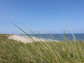 Casa per le vacanze Kamperland Ambiente 31