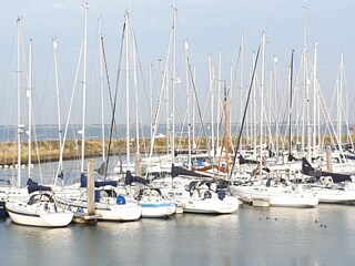 Casa per le vacanze Kamperland Ambiente 33