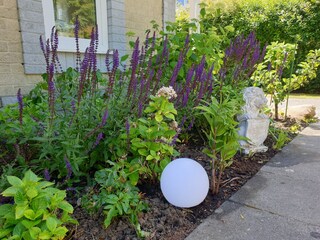 Casa per le vacanze Kamperland Registrazione all'aperto 6