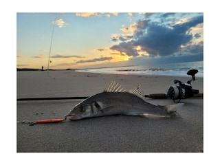 Casa per le vacanze Kamperland Ambiente 26