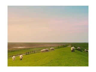 Appartamento per vacanze Greetsiel Registrazione all'aperto 5