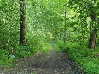 Wanderweg direkt am Haus