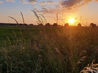 Sonnenuntergang auf dem Land