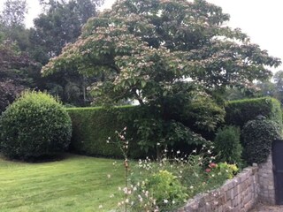 Casa per le vacanze Saint-Pierre-le-Vieux Registrazione all'aperto 10