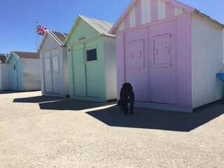 Casa per le vacanze Saint-Pierre-le-Vieux Ambiente 33
